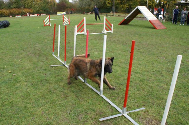 agility 2011-10-30